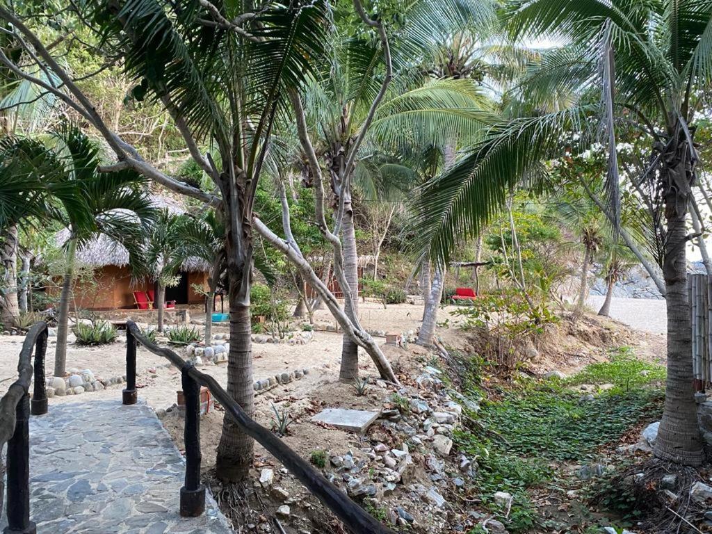 Hotel Bahia De La Luna Arroyo Cruz Exterior foto